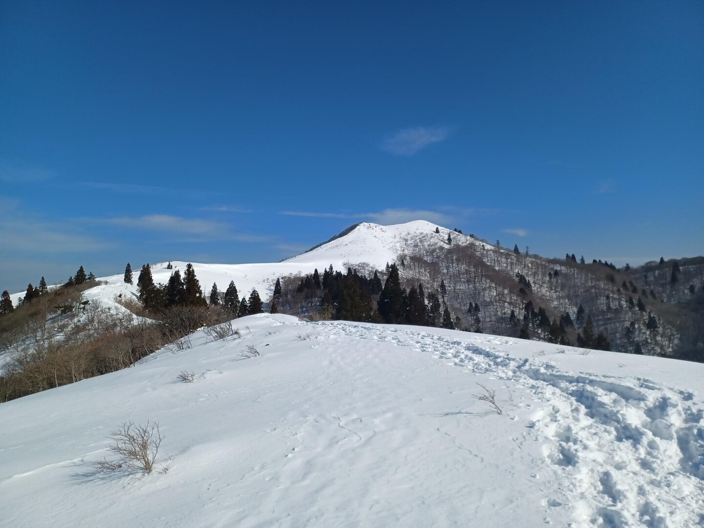 御殿山・武奈ヶ岳の写真