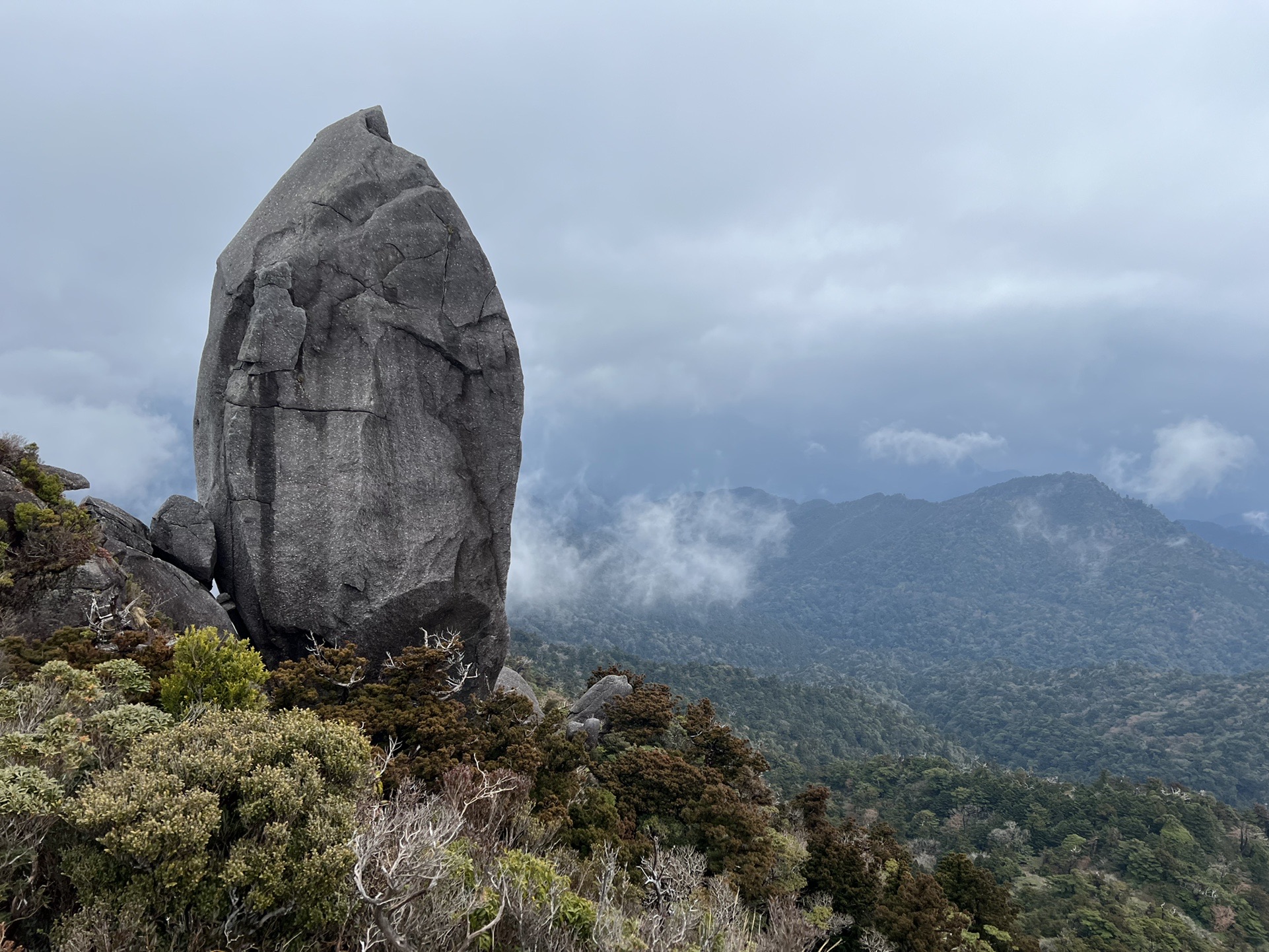 太忠岳 Ki0614さんの屋久島 宮之浦岳の活動データ Yamap ヤマップ