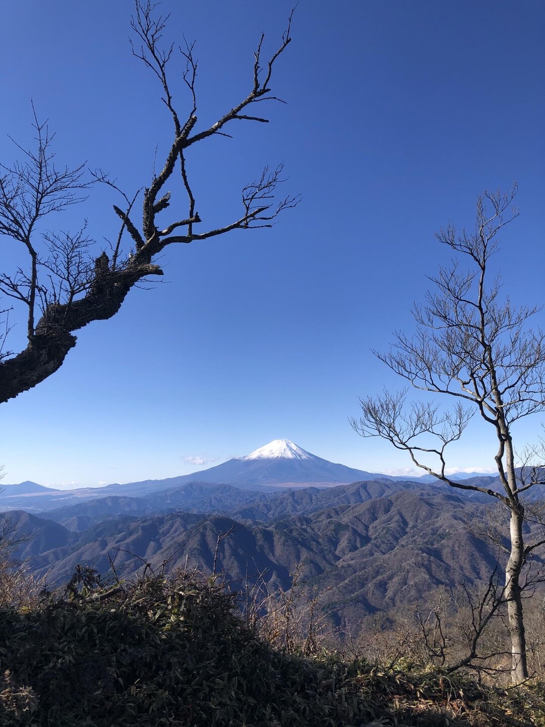 檜洞丸・熊笹ノ峰・大笄・小笄 / あめさんの大室山・畦ヶ丸山・菰釣山の活動データ YAMAP / ヤマップ