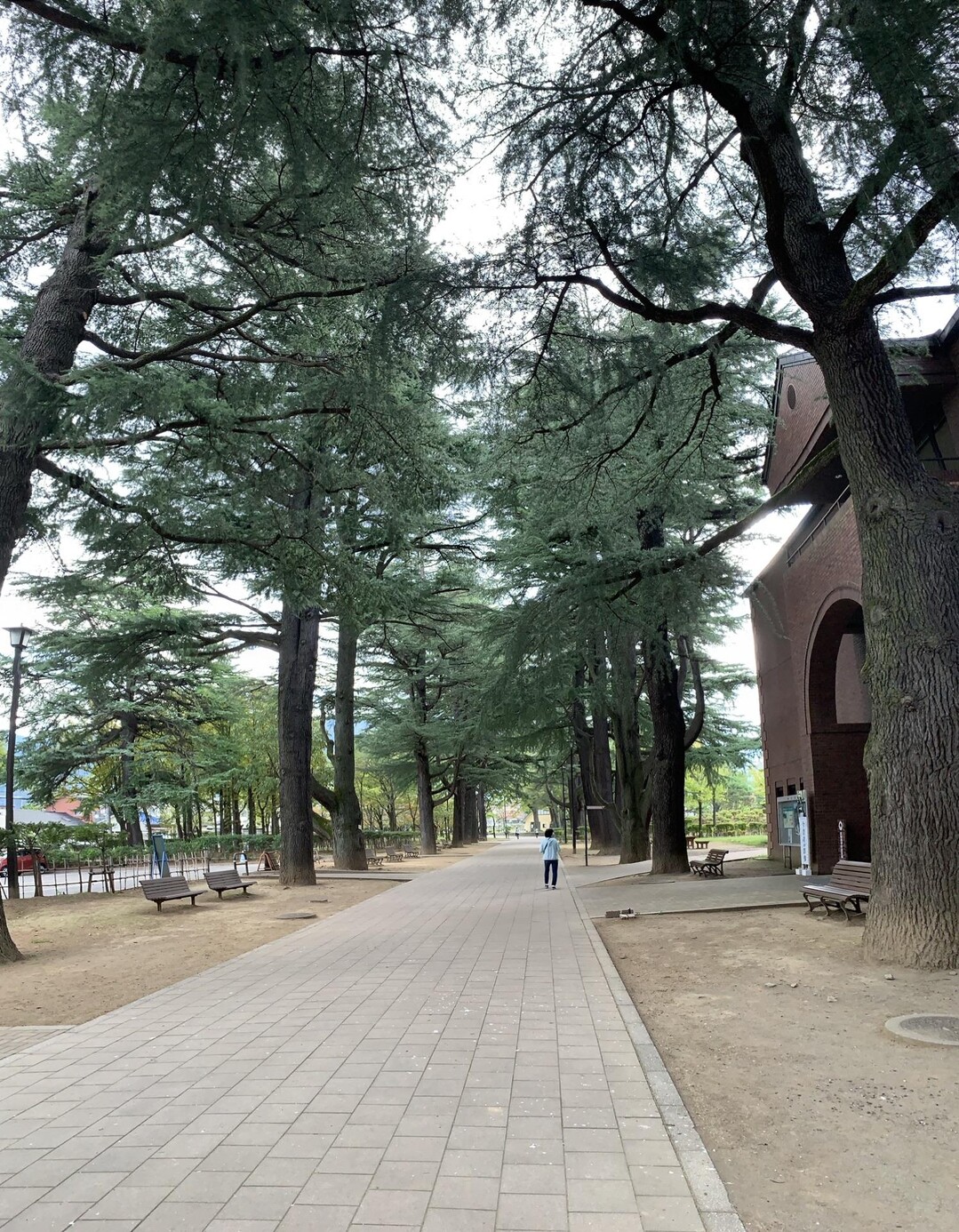 あがたの森公園（松本） / とうさんぽさんのウォーキングの活動データ | YAMAP / ヤマップ