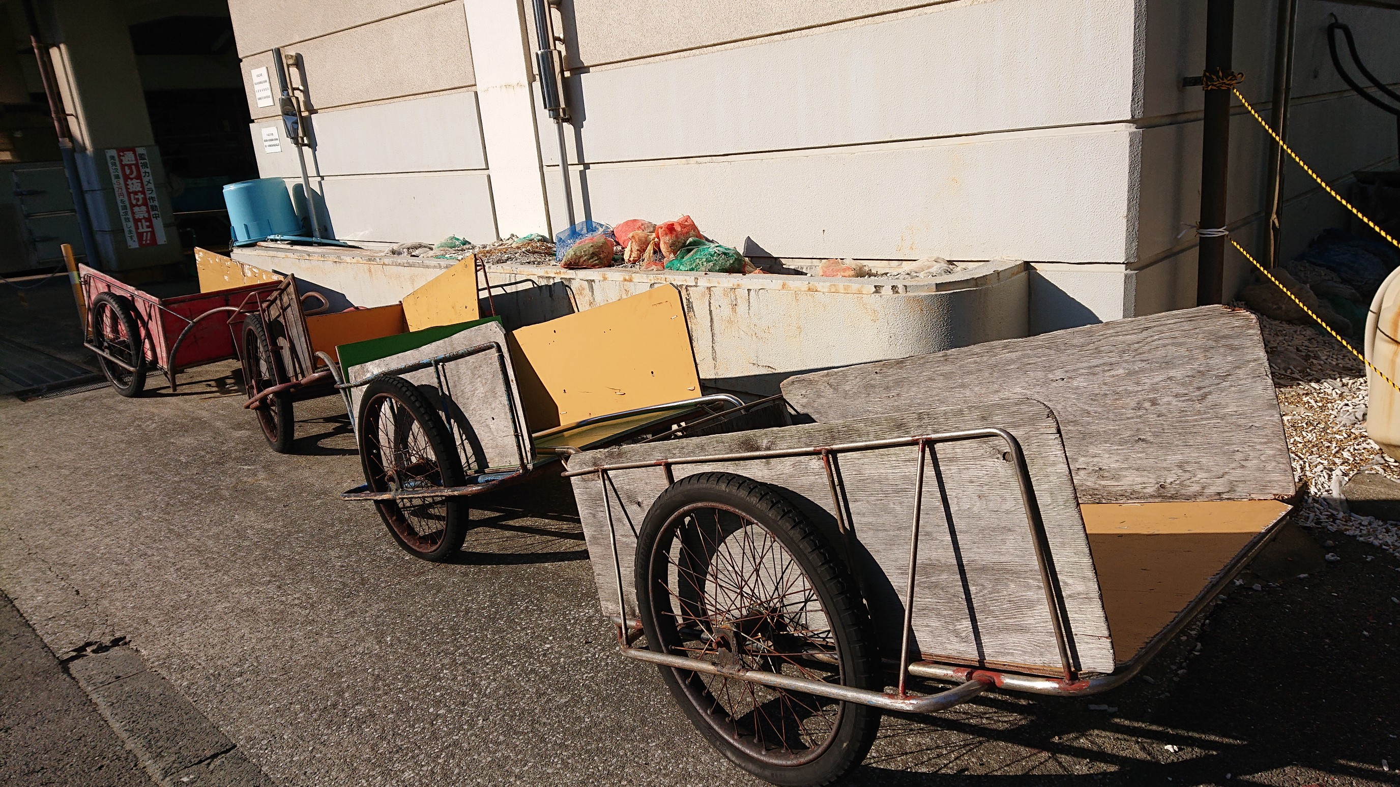 腹ポにゃ探検隊 トロッコ跡探訪能古島へ ポポクジラさんの能古島の活動日記 Yamap ヤマップ