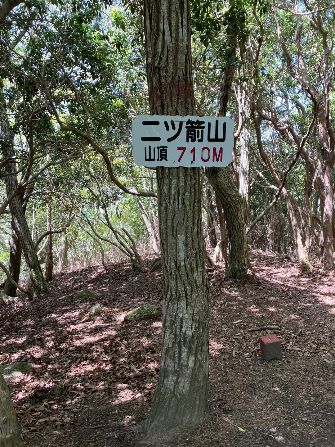 月山・二ッ箭山・女体山・男体山