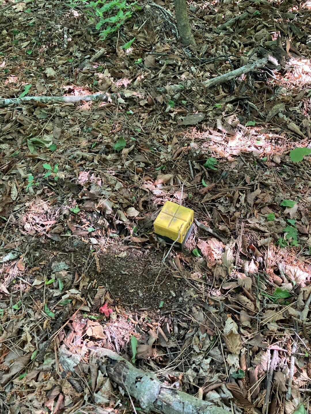 筑波連山縦走🚶‍♀️の写真