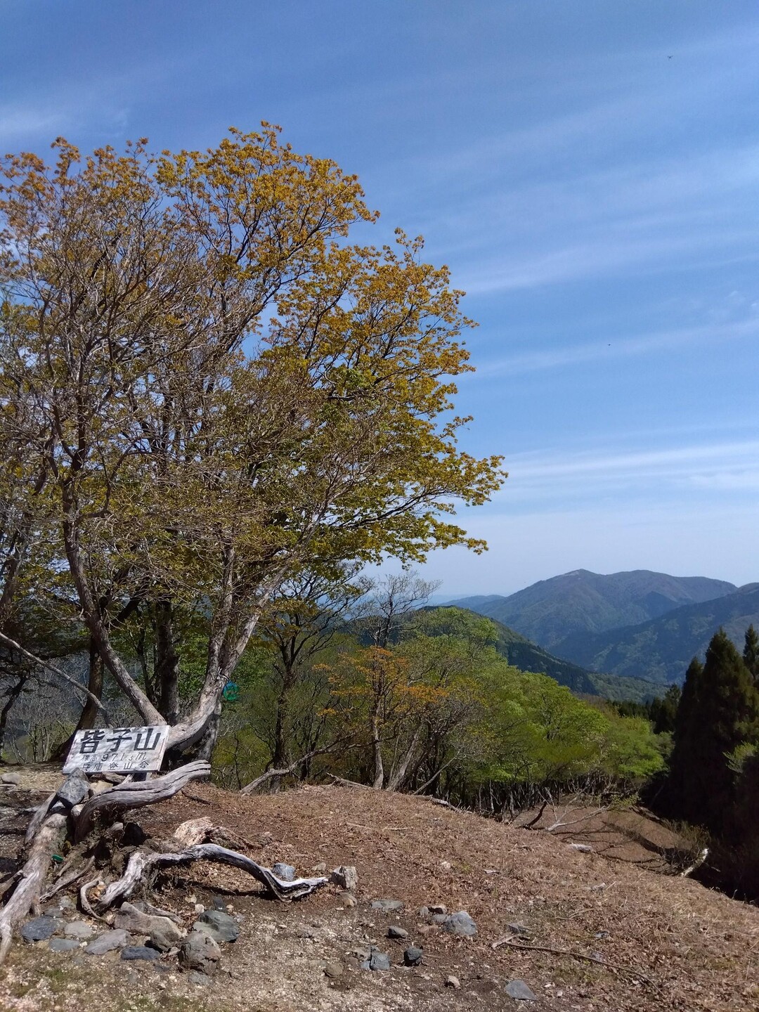 皆子山・折立山・権現山・ホッケ山・蓬莱山・打見山 / kzさんの皆子山の活動データ YAMAP / ヤマップ