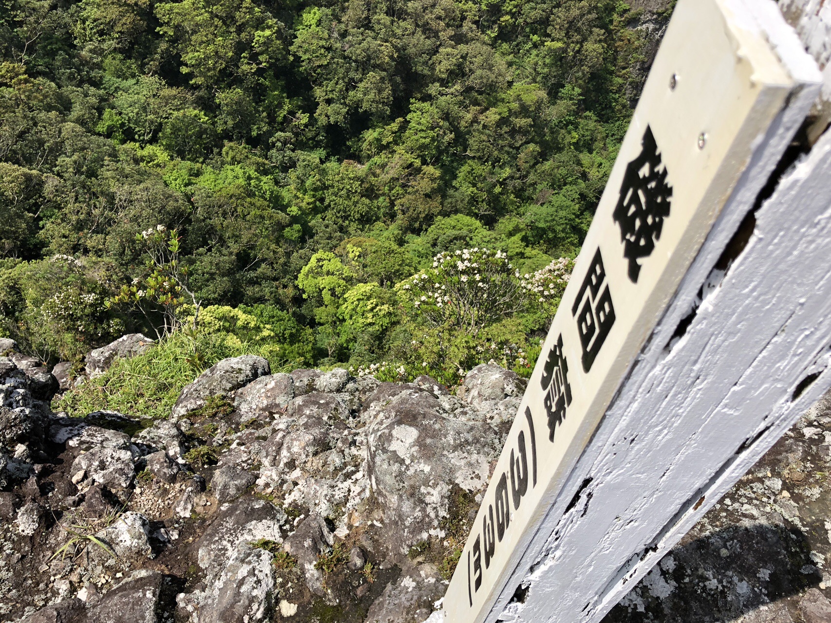 屋久島帰りの鹿児島は磯間嶽へかる く びばじゅんさんの磯間嶽の活動データ Yamap ヤマップ