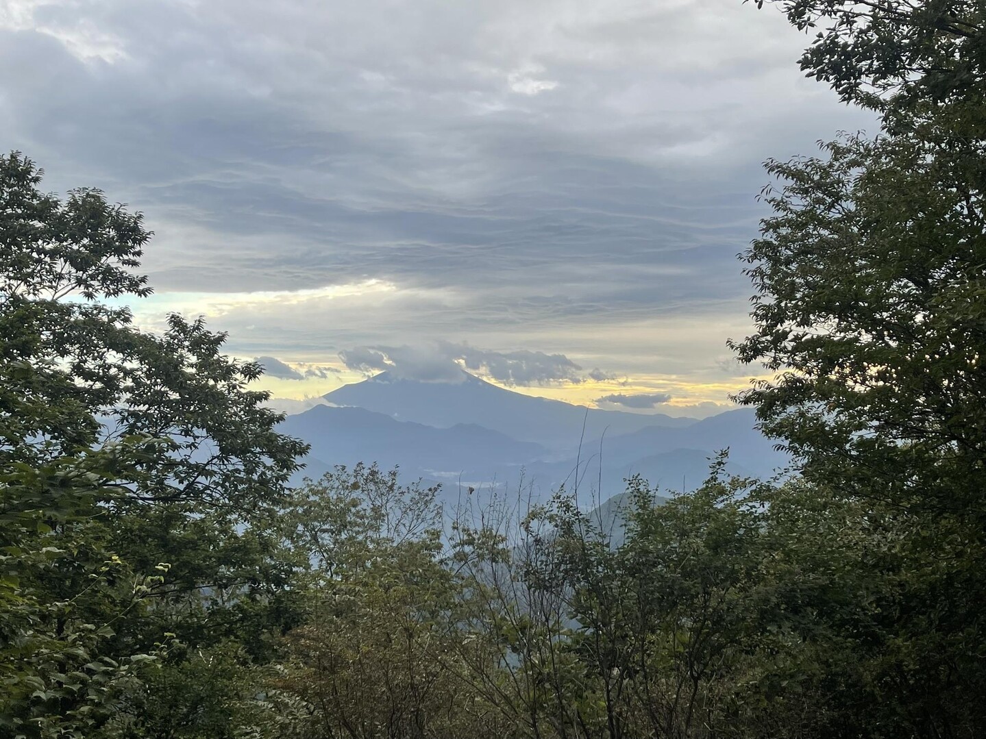 百蔵山・扇山・権現山 / Thrillerさんの百蔵山・扇山・権現山の活動データ | YAMAP / ヤマップ