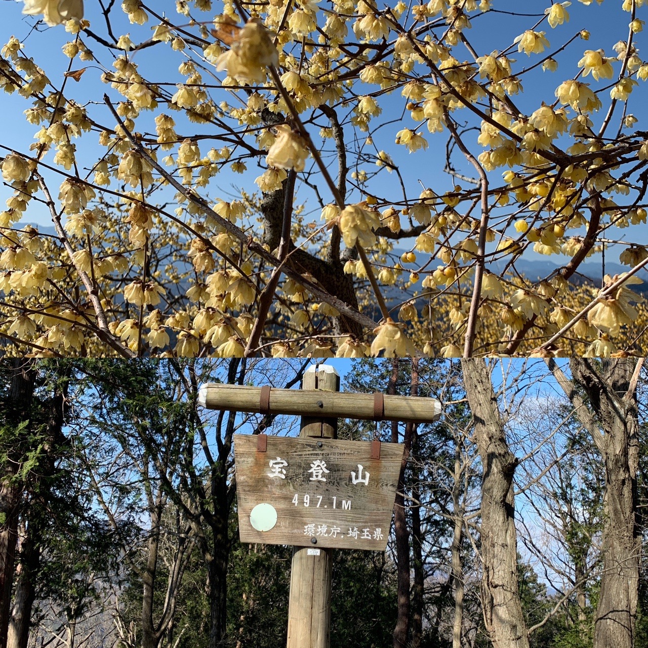 関東百名山 宝登山 長瀞アルプス ユージさんの宝登山 長瀞アルプス 不動山 陣見山 鐘撞堂山の活動データ Yamap ヤマップ