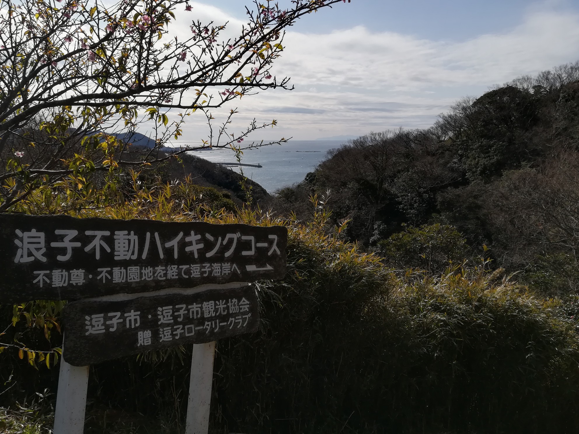 葉山女子旅 逗子駅 逗子マリーナ のりさんの逗子市の活動日記 Yamap ヤマップ