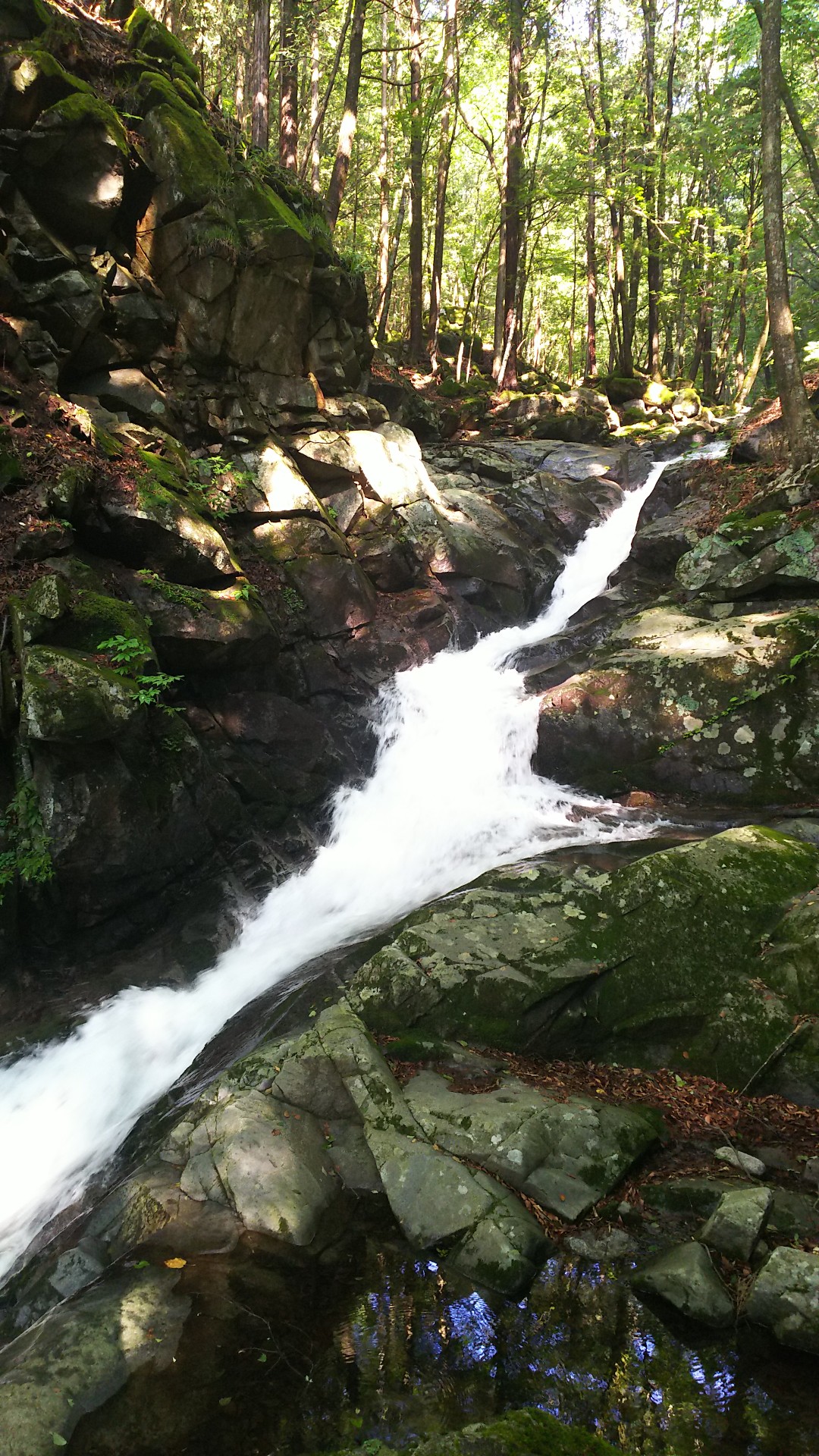 徳和渓谷 19 08 04 ポンコツ 本骨 登山隊さんの乾徳山 黒金山の活動データ Yamap ヤマップ
