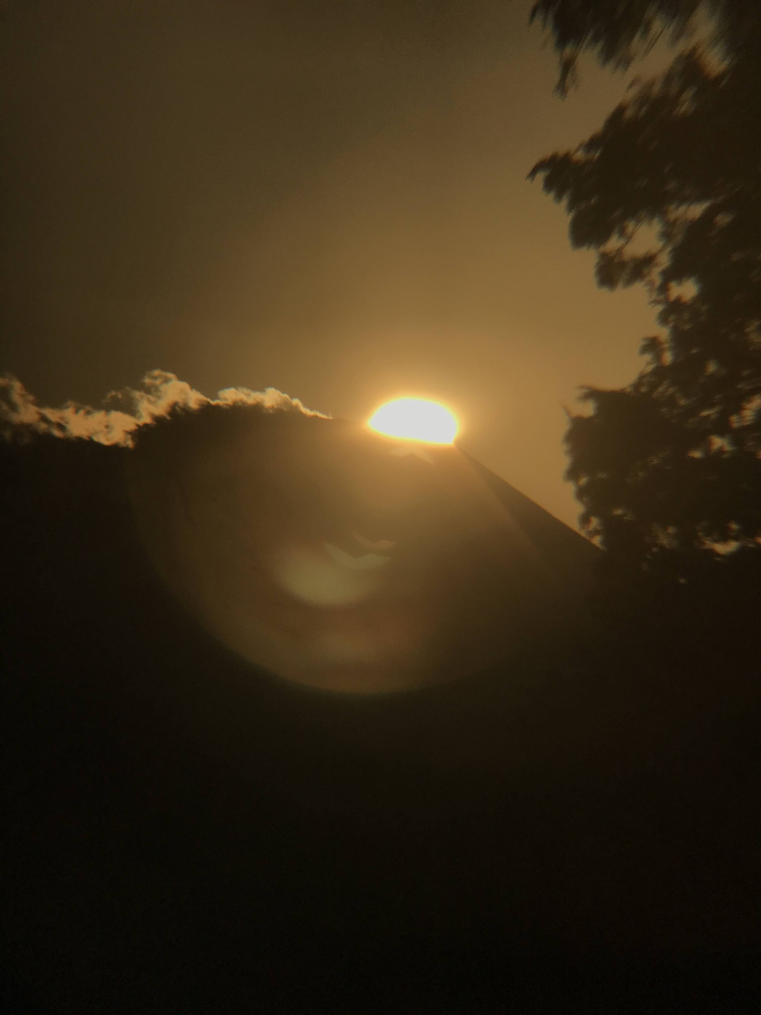 2020 ダイヤモンド 富士