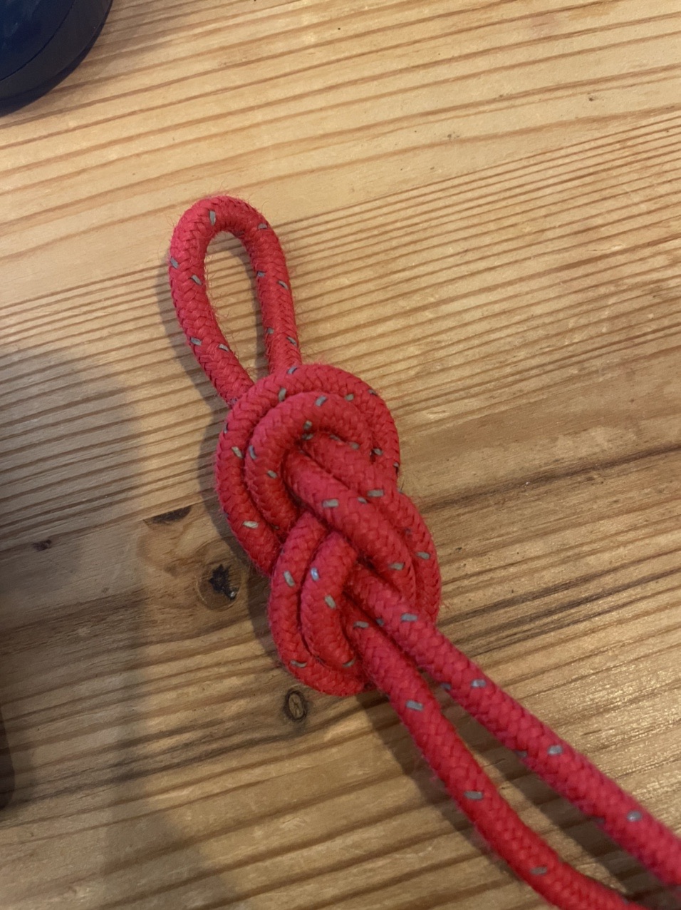 ロープワーク練習継続中 エバンスノット たいたんさんのモーメント Yamap ヤマップ