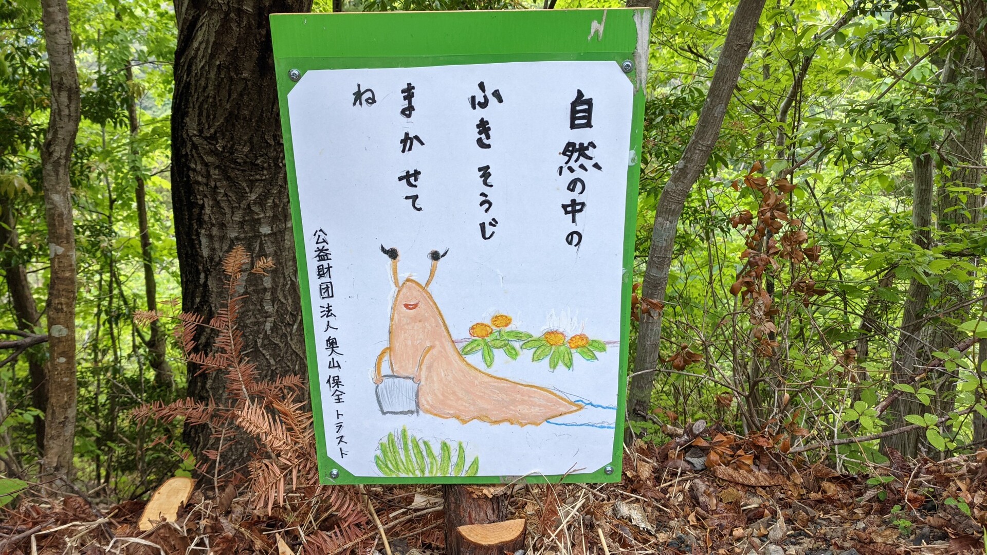 天竜スーパー林道で秋葉神社上社 常光寺山 ラクダ山 天神山 竜頭山 大高遠山 井戸口山 扇平山 ナダクマシロ山 Atsushiさんの竜頭山 入地山の活動日記 Yamap ヤマップ