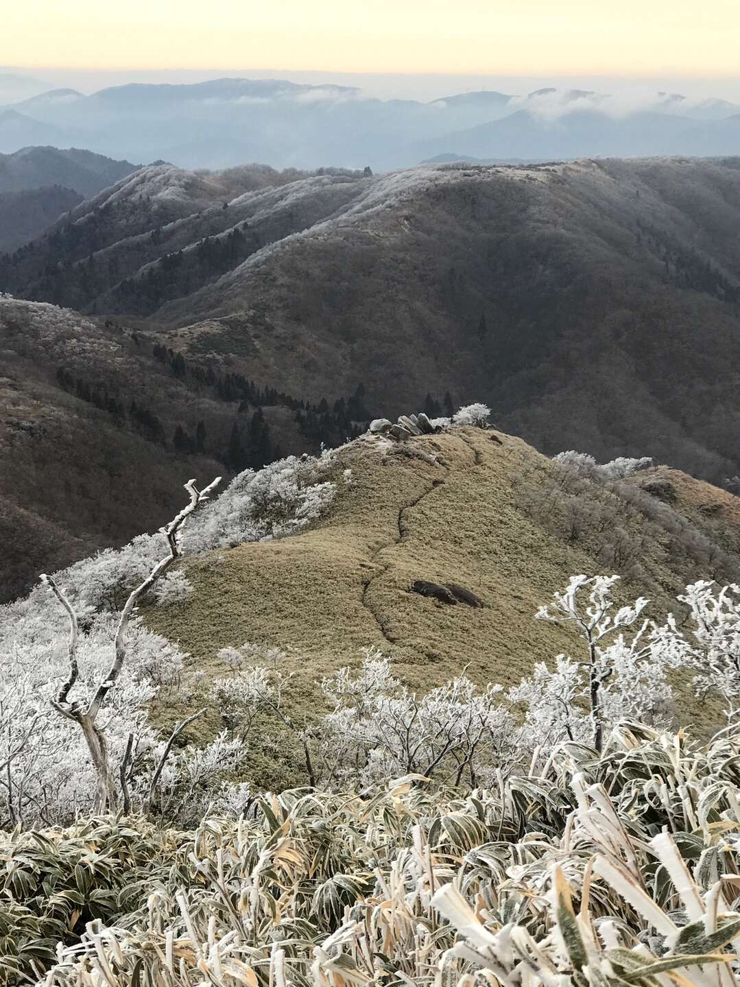 御在所岳(御在所山)・雨乞岳-2019-12-21 武平峠→雨乞岳→イブネ→クラシ→大峠の頭→御在所岳→武平峠