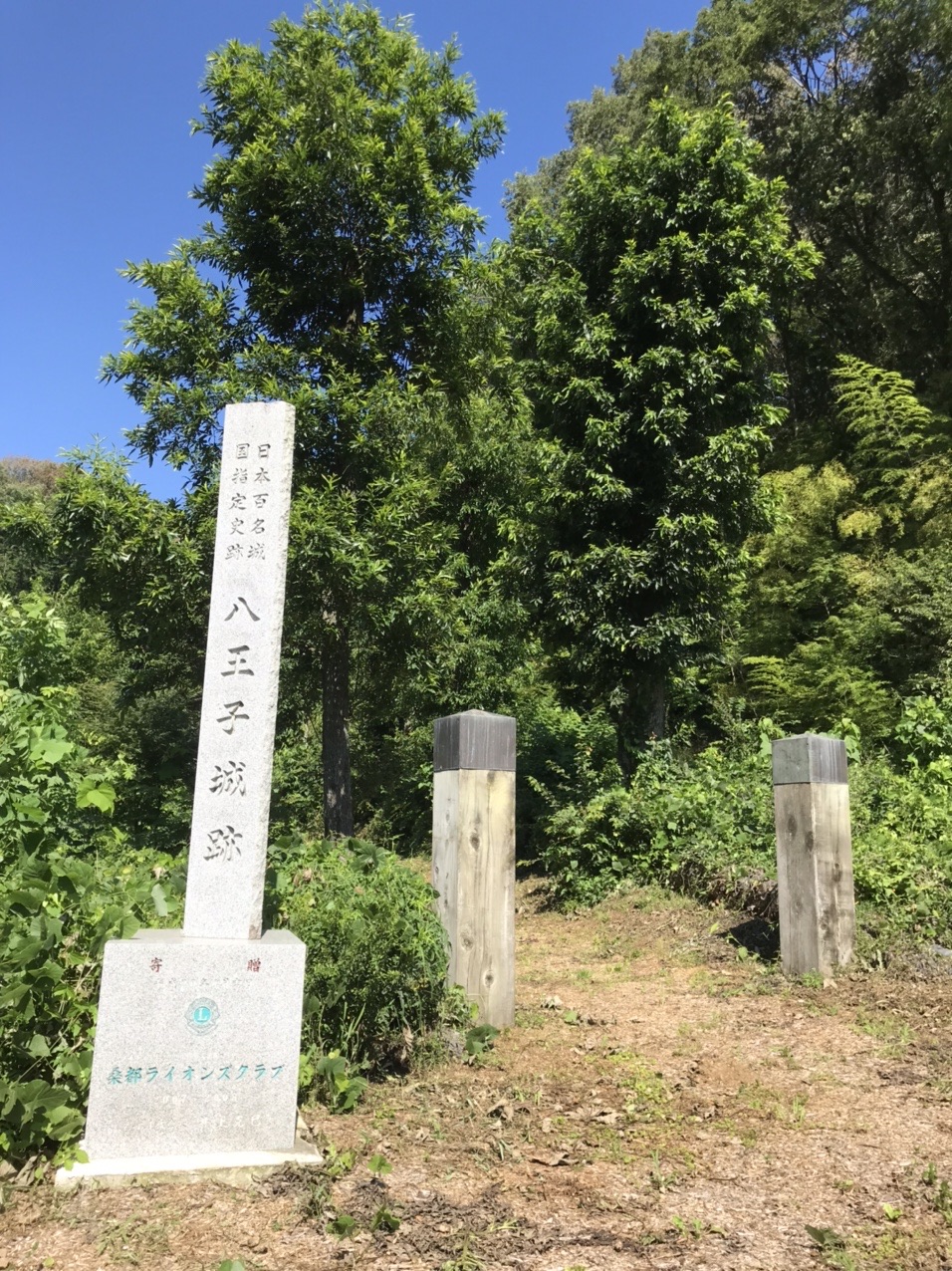城山 八王子城山 北高尾富士見台 熊笹山 唐沢山 おさわさんの高尾山 陣馬山 景信山の活動データ Yamap ヤマップ