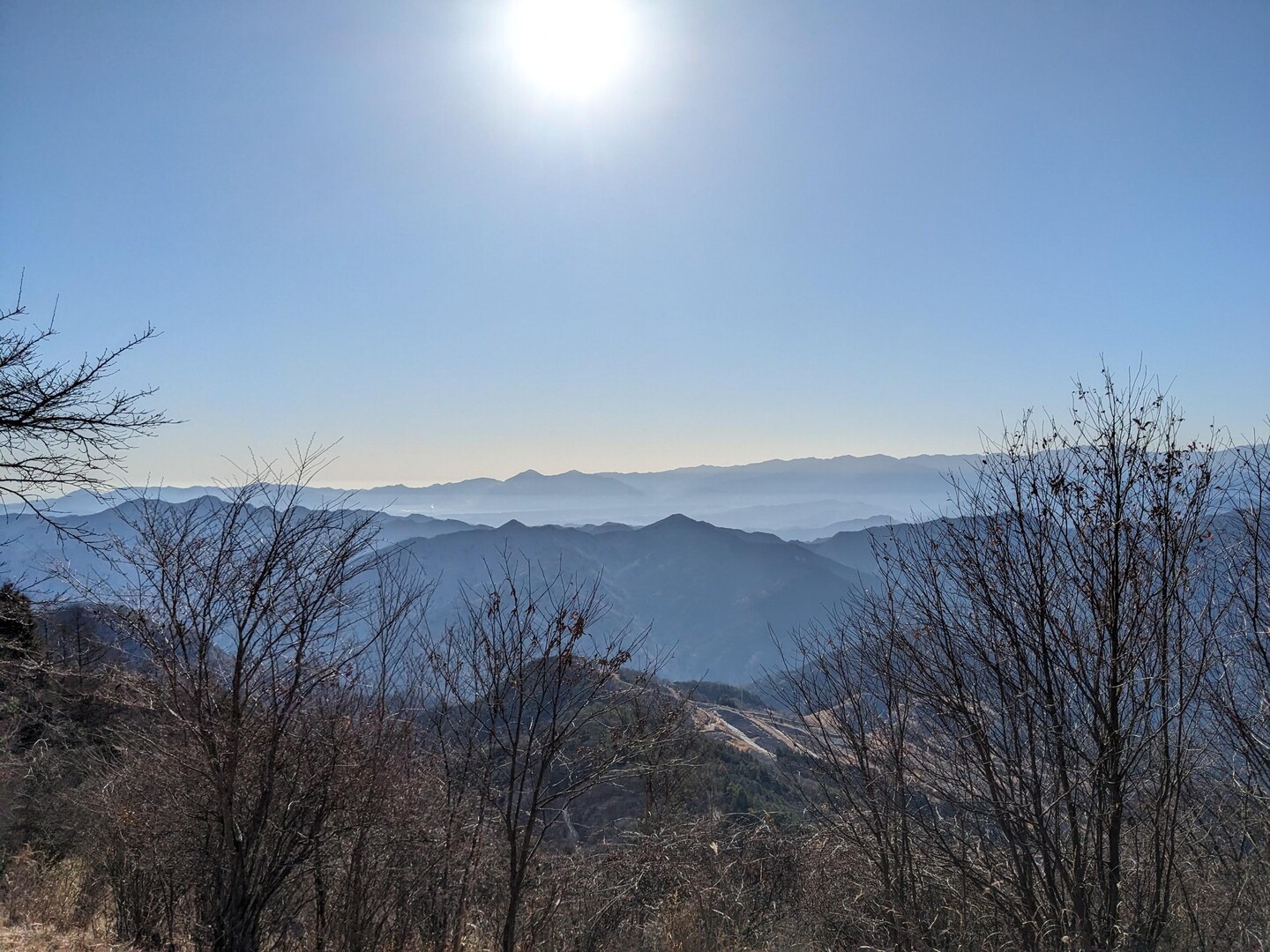 国道から御荷鉾山（西御荷鉾山）へ / tomさんの御荷鉾山・オドケ山・桐ノ城山の活動データ YAMAP / ヤマップ