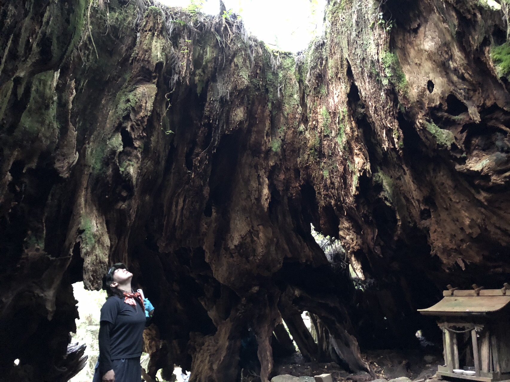 Gw屋久島１泊2日縦走 初めてのテント泊 Ichi63さんの屋久島 宮之浦岳の活動データ Yamap ヤマップ