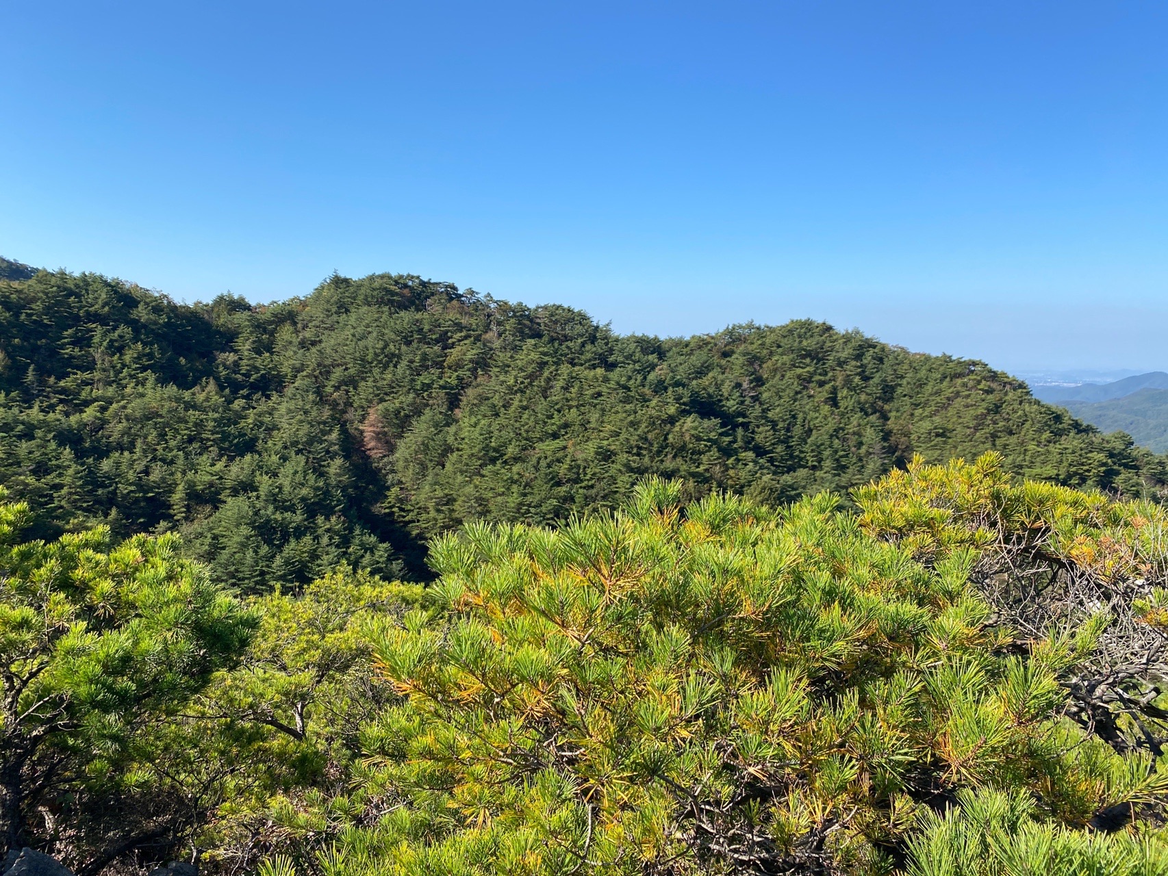 古寺山 六甲アルプス アイスロード 10 25 A Yさんの六甲山 長峰山 摩耶山の活動データ Yamap ヤマップ