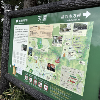 天園です。大抵のハイカーは建長寺スタート天園折り返しの様です