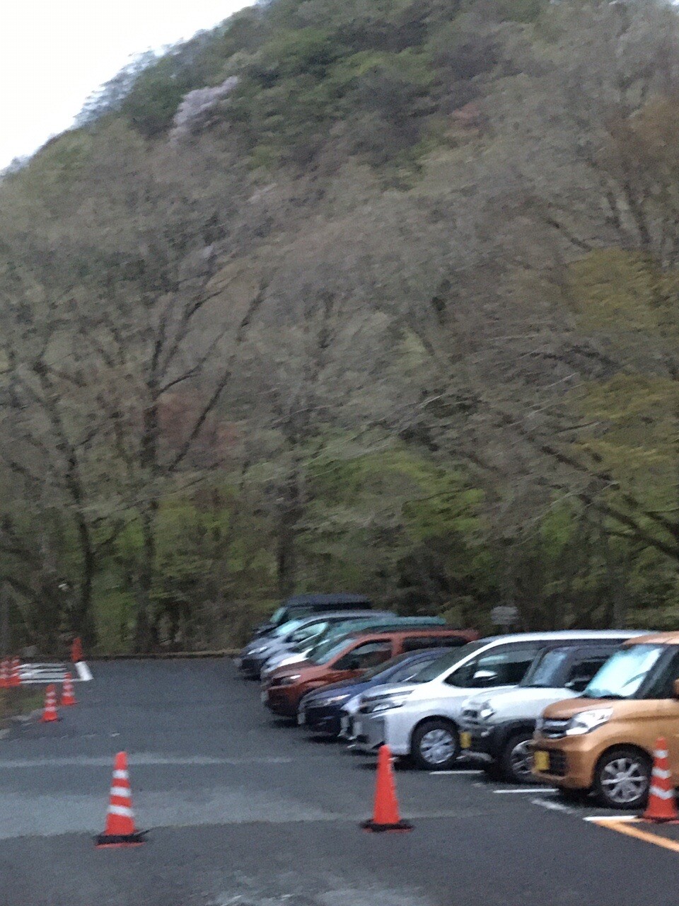 ヤマビルを避けて… 檜洞丸からグルっと一周 / 塔ノ岳・丹沢山・蛭ヶ岳の写真1枚目 / 西丹沢登山の拠点、西丹沢ビジターセンター