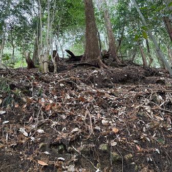 六甲山・長峰山・摩耶山 紅葉谷第四堰堤は下り口が見つけられない。
上を見ればトラロープが張ってあるのが見えるので、そこまで上ってからさらに向こうで沢におります。
ここかなりわかりにくい。