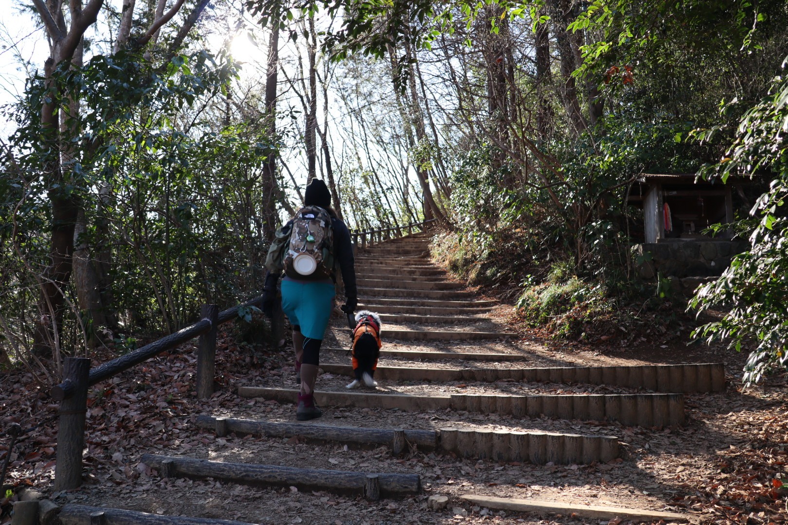 高尾山 犬連れ散歩 02 06 のぶろうさんの高尾山 陣馬山 景信山の活動データ Yamap ヤマップ