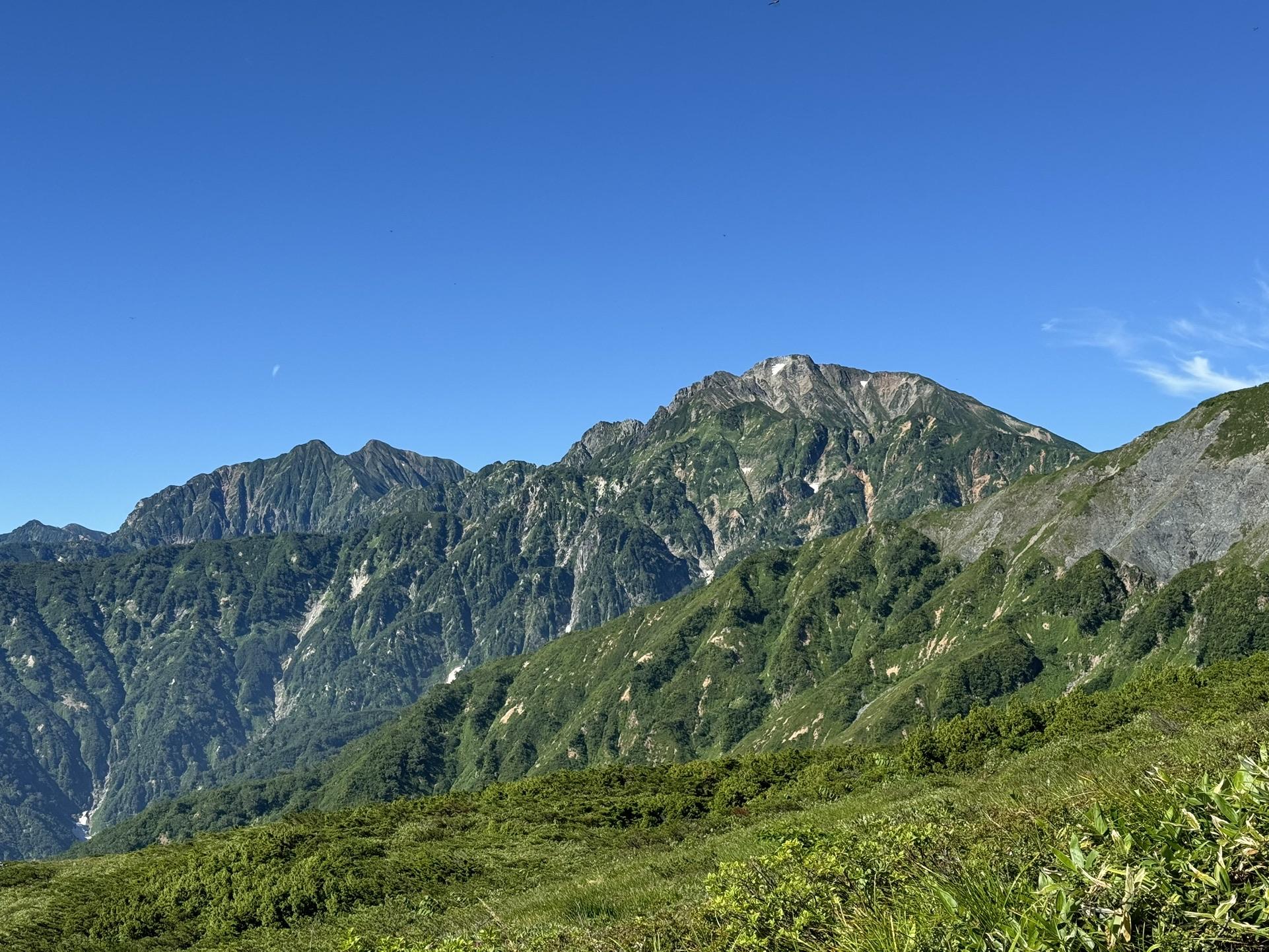 山の穢れ 天狗ノ舞 高尾山】森の案内人と春色トレッキング！樹齢700歳の巨樹連なる