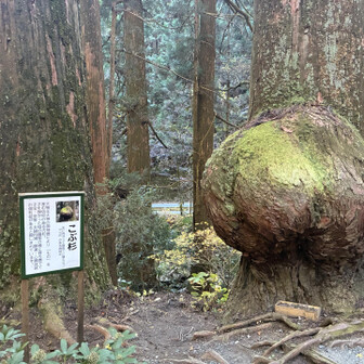 俺の腹のようだ