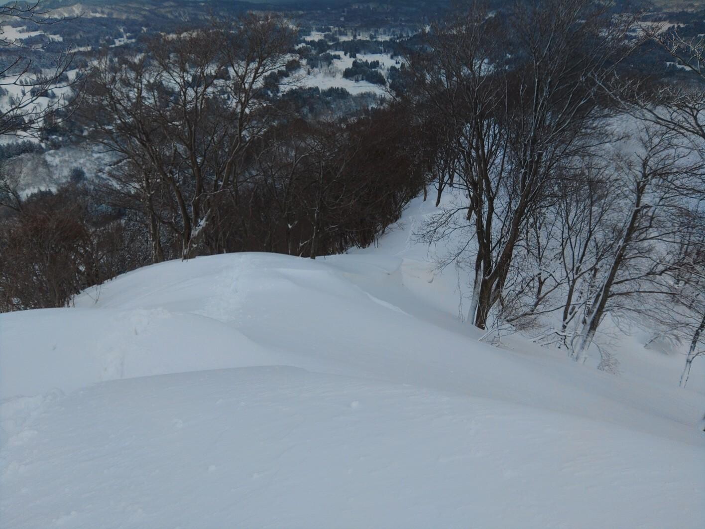 大平山 / Nぼうずさんの長岡市 東エリアの活動データ YAMAP / ヤマップ