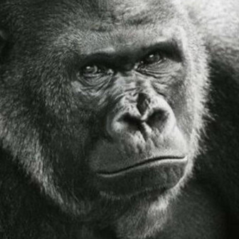 masa🐻‍❄️😎