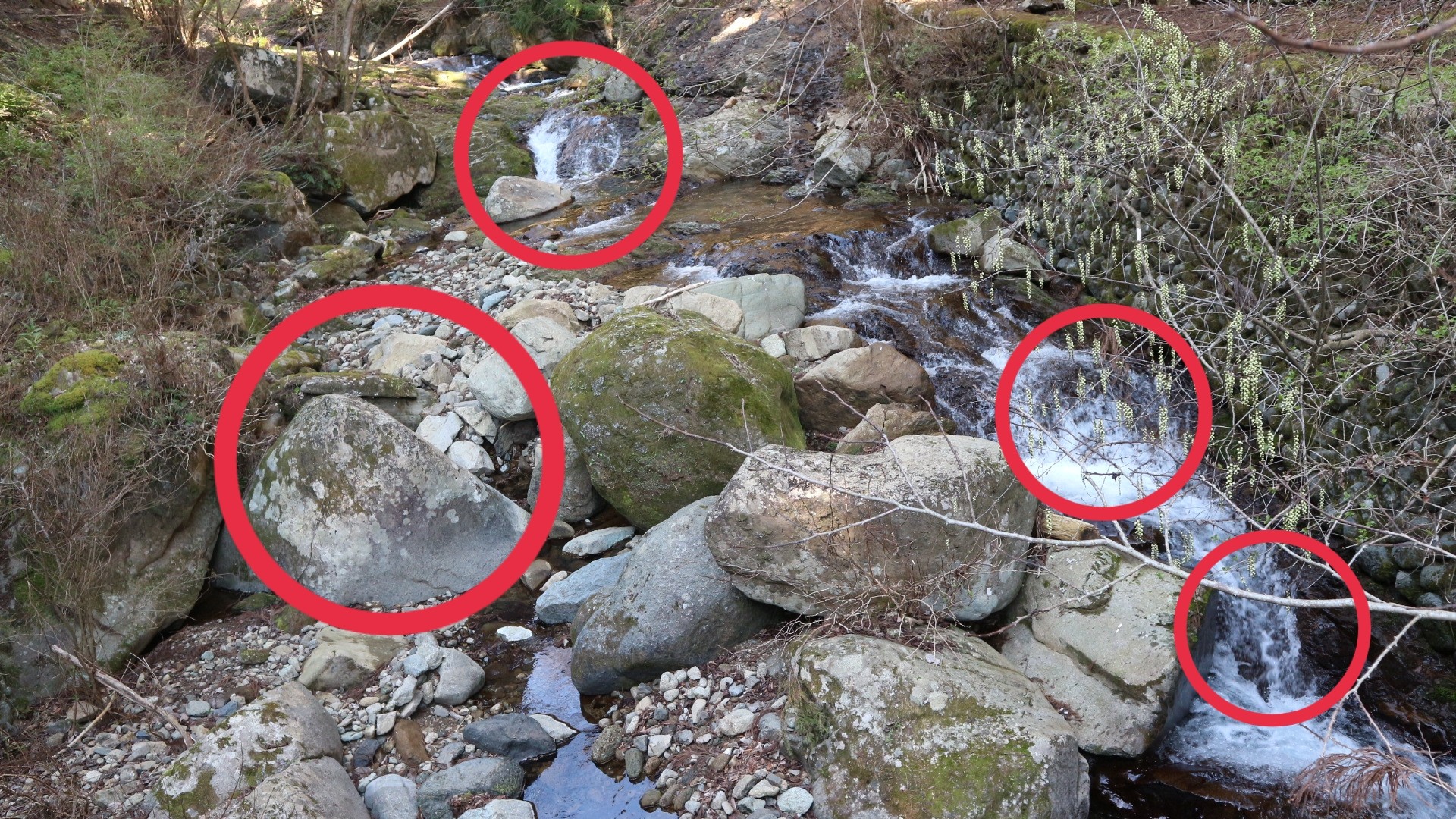 心霊スポット鐘ヶ嶽 ネクタイ尾根 大山 よっちゃんさんの大山の活動日記 Yamap ヤマップ