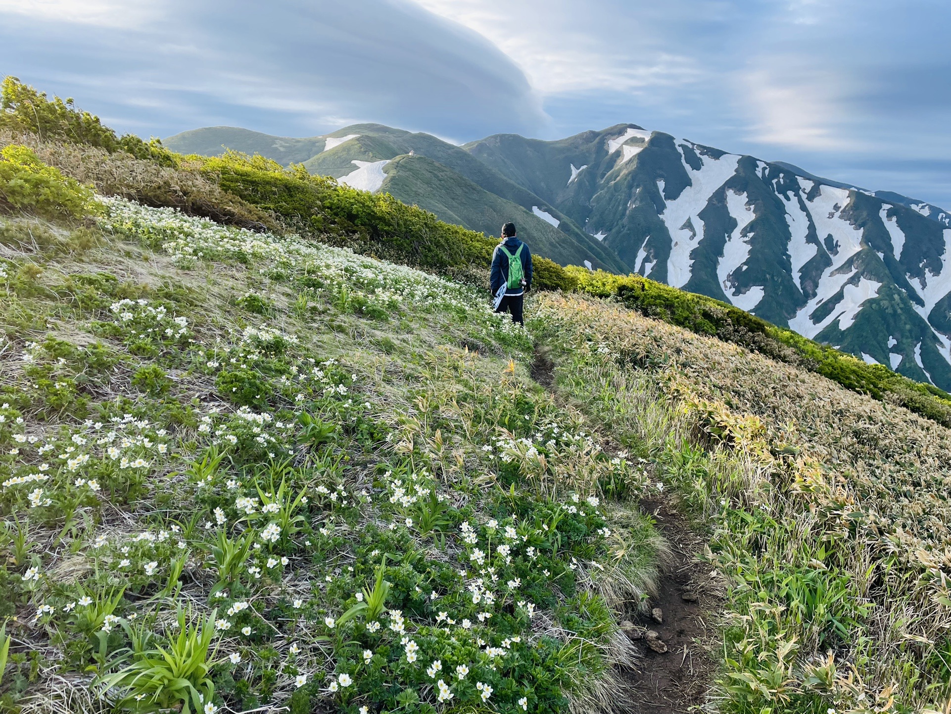 お花畑とおじさん。