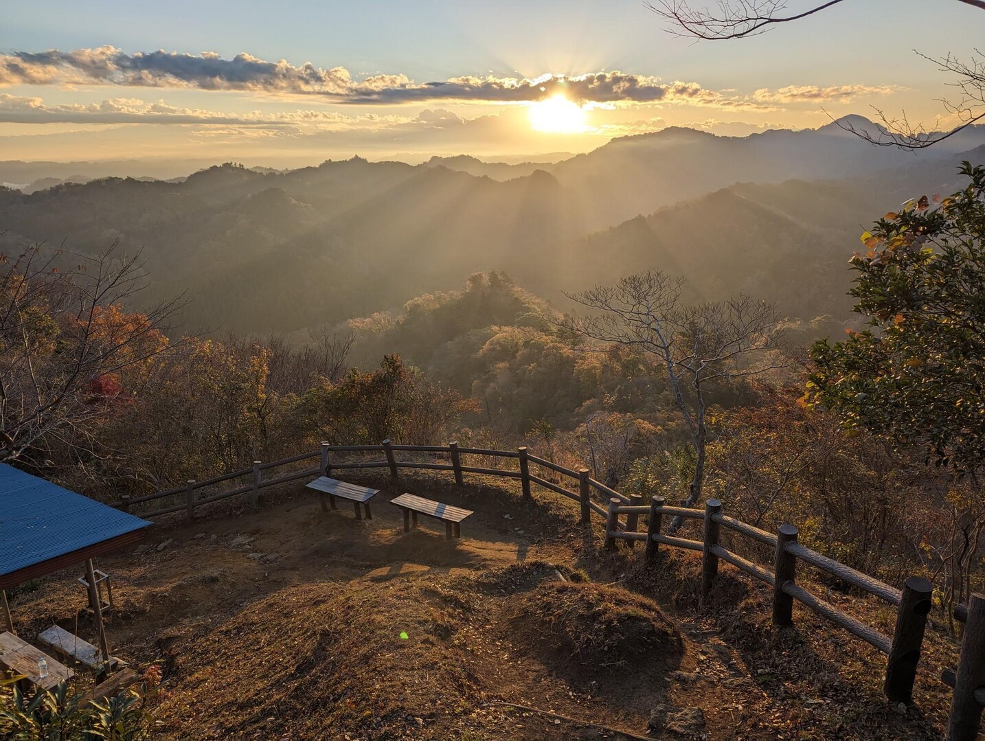 朝靄の 陽射す疎林に 冬の嶽 / やまっぺさんの高宕山・寂光山・大塚山の活動データ | YAMAP / ヤマップ