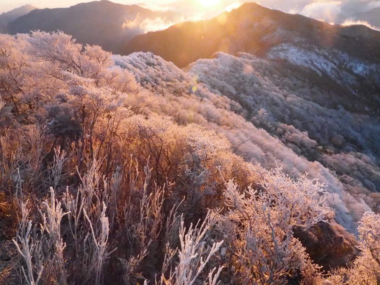 爆風の中 朝駆けで繋ぐ 親父山 障子岳 古祖母山 黒岳 三尖 ぶっち W さんの祖母山の活動データ Yamap ヤマップ