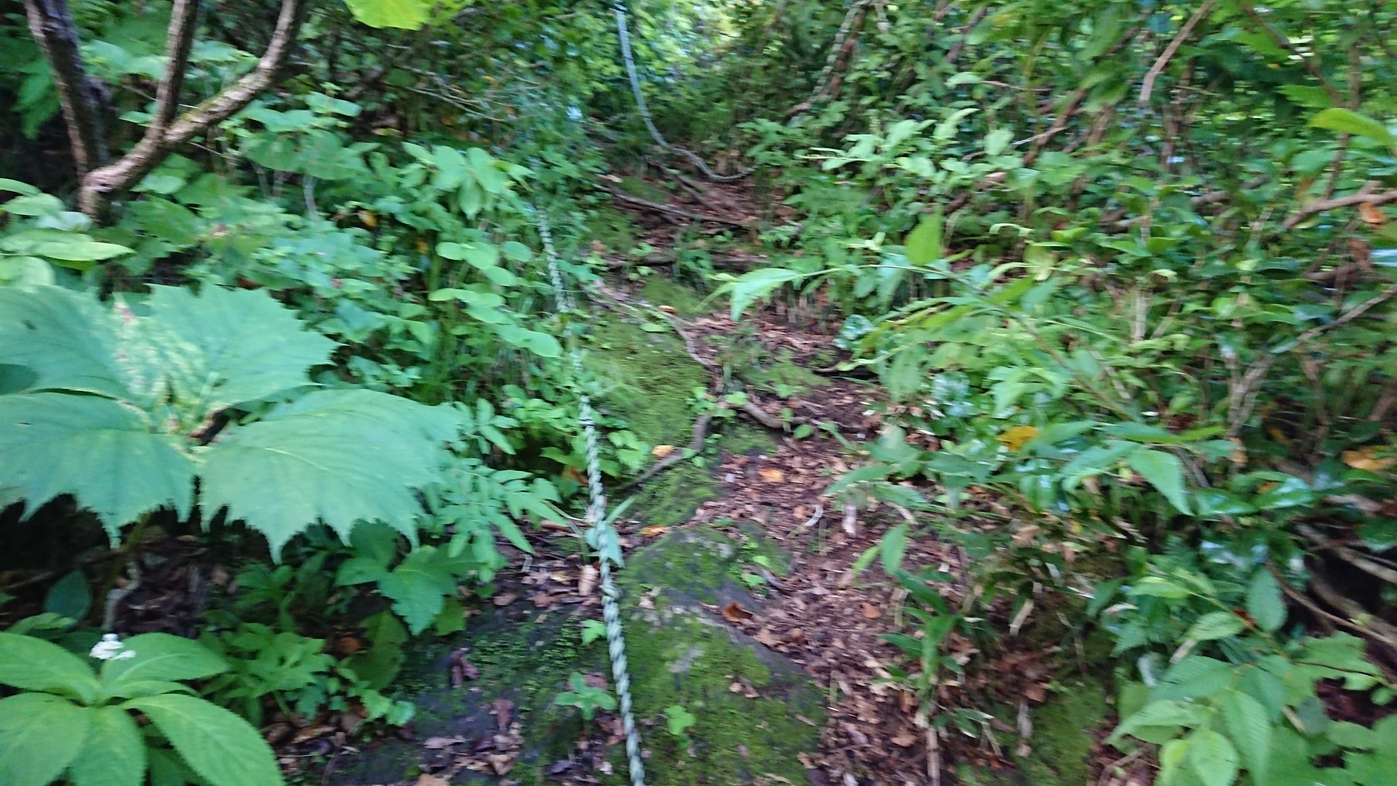 海谷山塊縦走 むっとこさんの駒ヶ岳の活動日記 Yamap ヤマップ