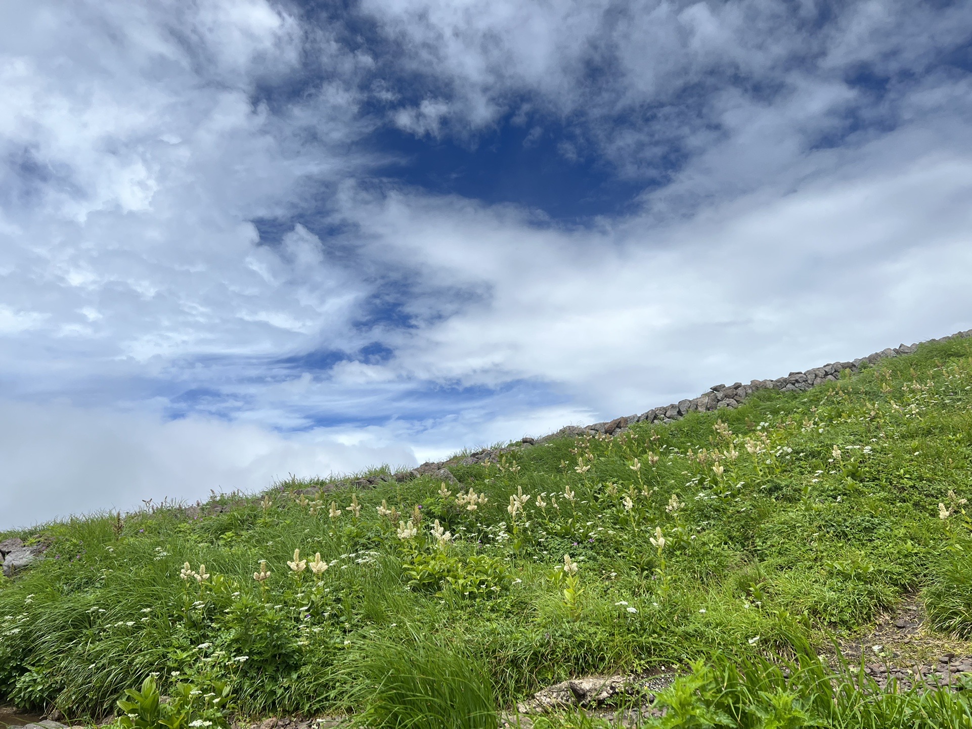 雨のち曇りの月山 みんさんの月山の活動データ Yamap ヤマップ