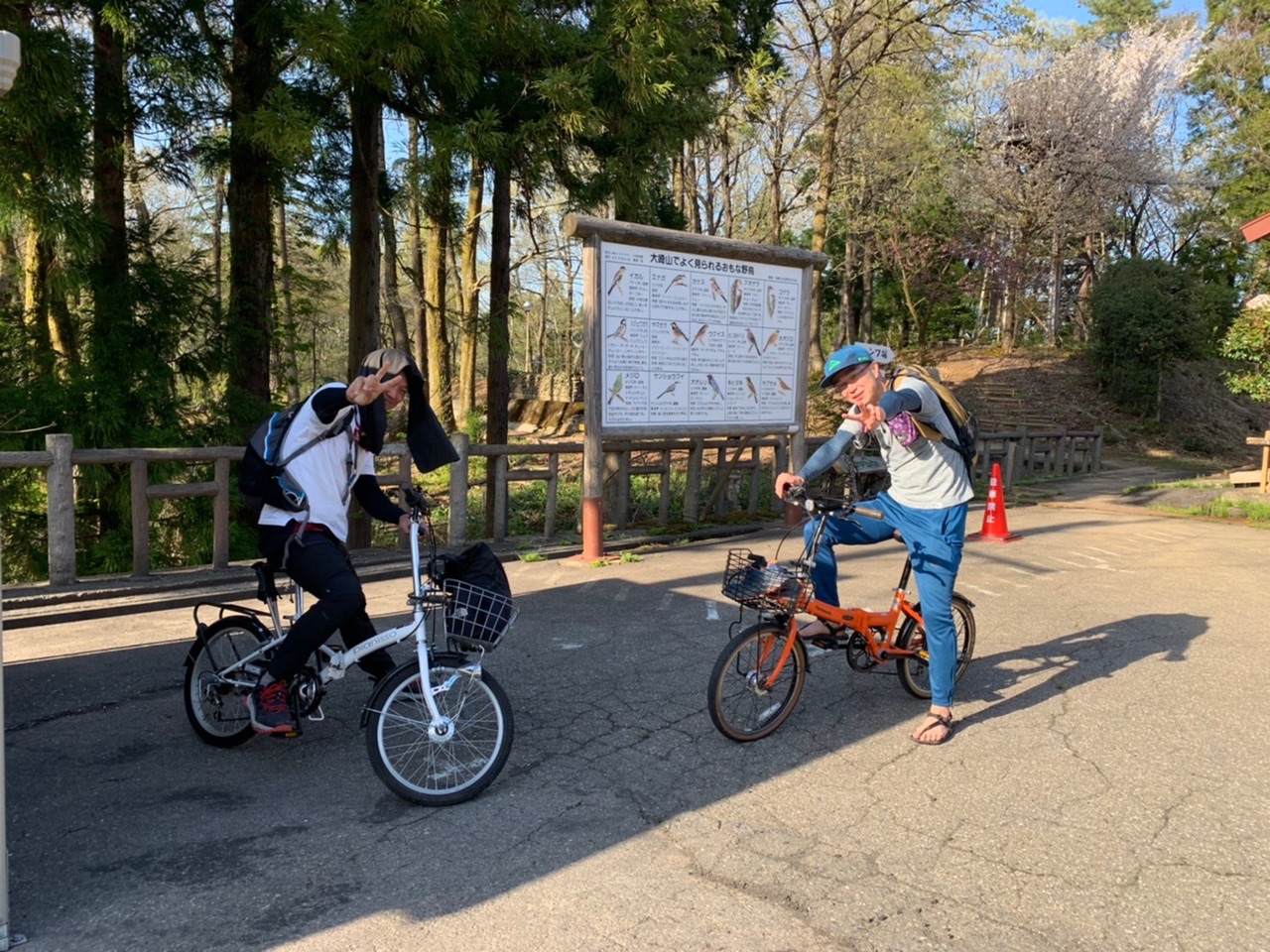 トレイル40・ロード25(秋葉公園から大崎山公園) / JJさんの菩提寺山 