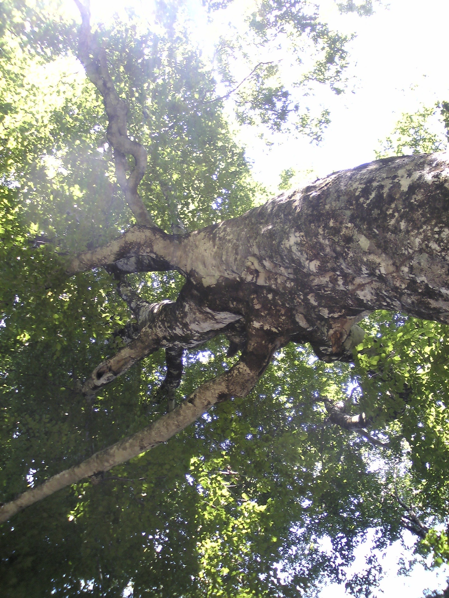 08年9月 青森県と秋田県にまたがる Yotaさんのモーメント Yamap ヤマップ