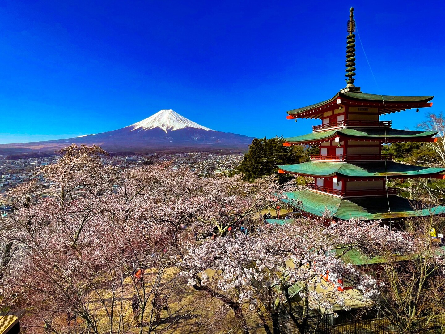 三つ峠山(開運山) 〜富士山 、桜 、五重塔〜 / hipopoさんの三ッ峠山 