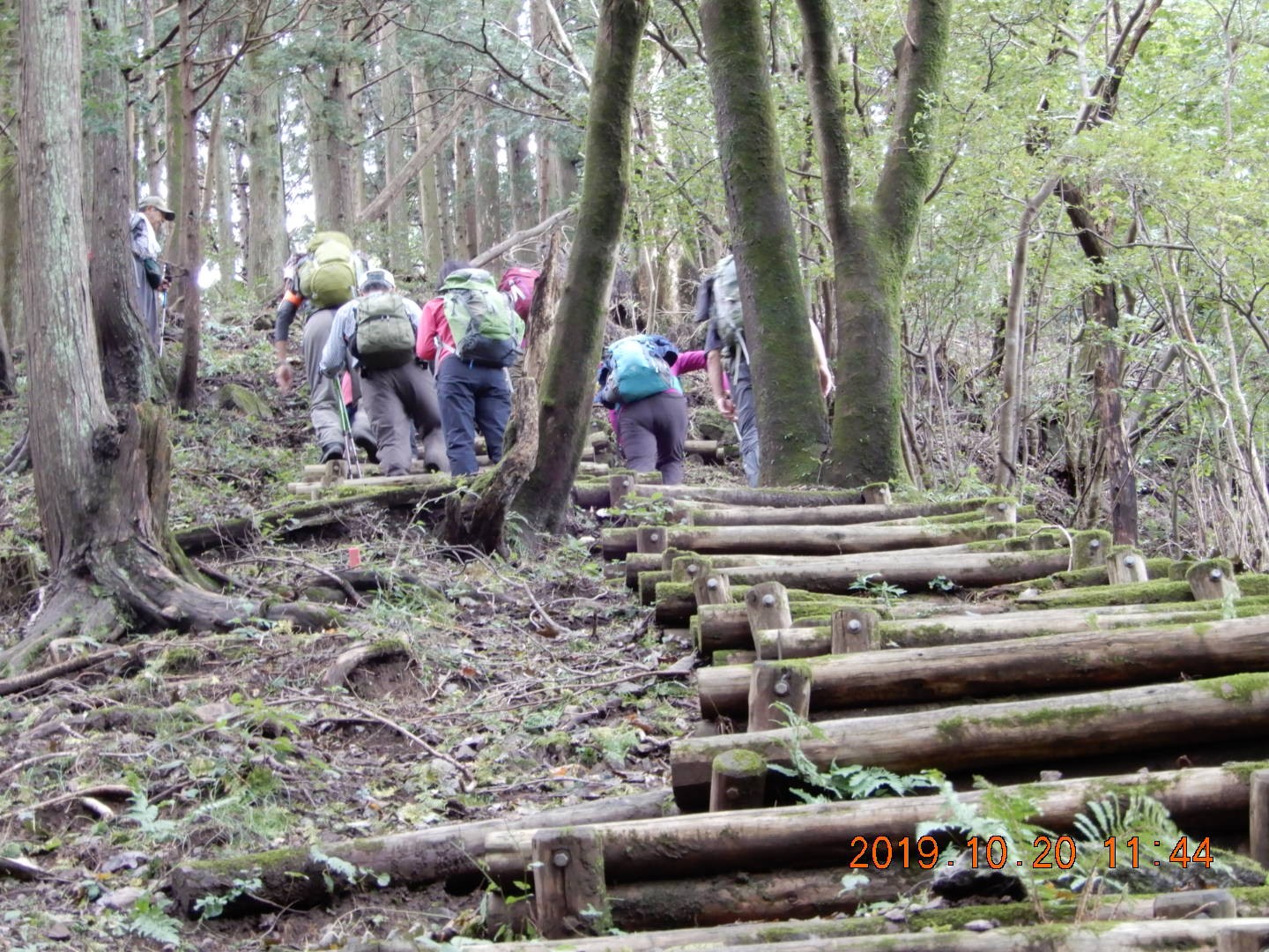 伊豆ヶ岳 正丸山 旧正丸峠を周回 19 10 Momotiさんの武甲山 伊豆ヶ岳 小持山の活動データ Yamap ヤマップ