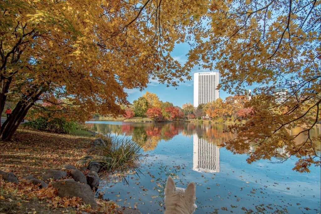 中島公園 大通公園 道庁ツアー 立花京志朗さんの札幌市の活動日記 Yamap ヤマップ