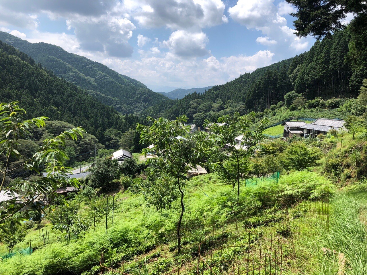 芦ヶ久保駅〜芦ヶ久保果樹公園村〜丸山 / オイちゃんさんの丸山の活動データ YAMAP / ヤマップ