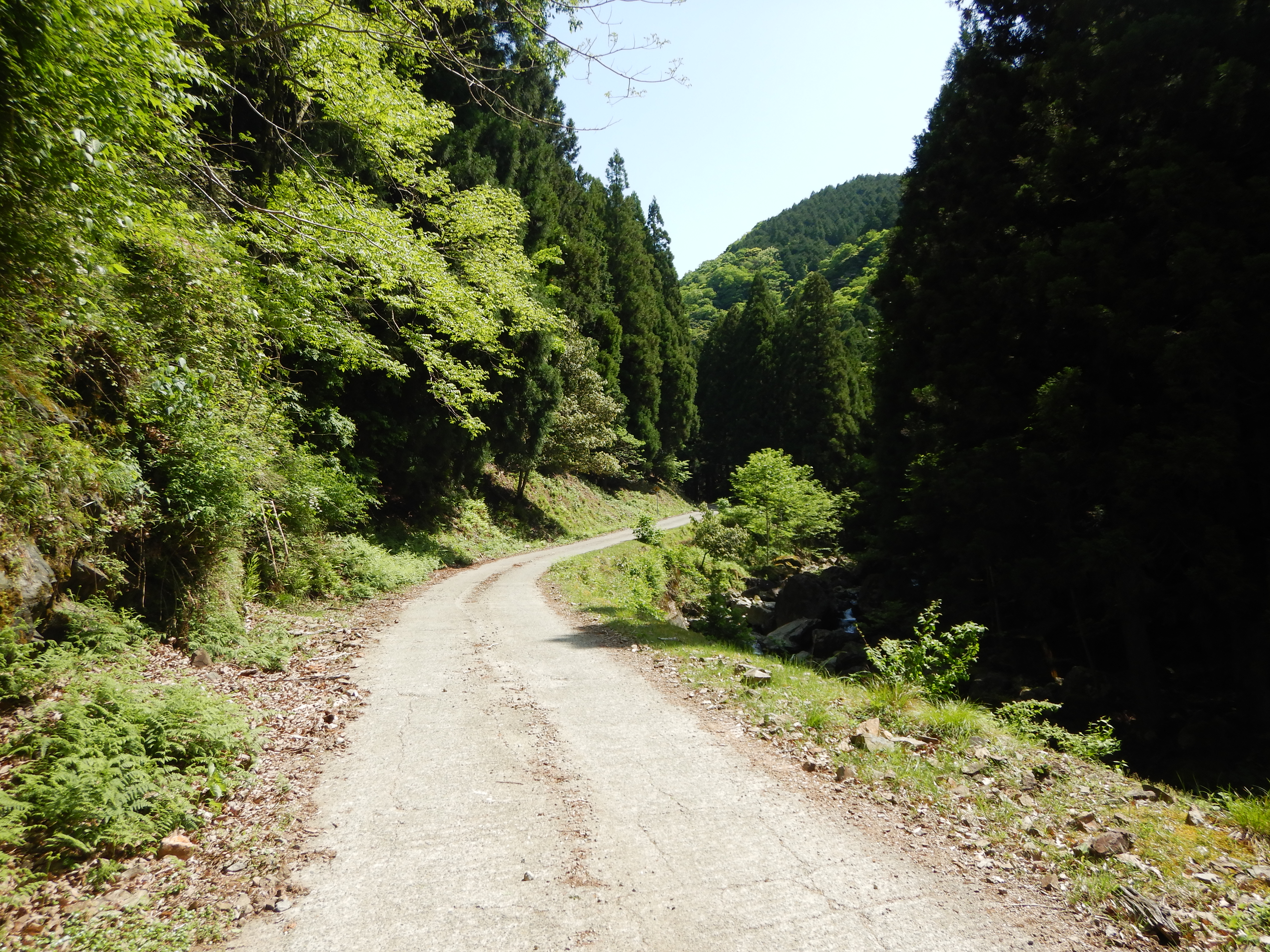 美しい稜線 西床尾山から東床尾山へ 05 24 ひでやんさんの東床尾山 西床尾山の活動日記 Yamap ヤマップ