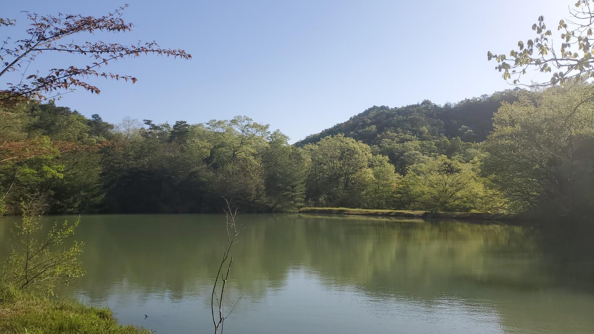 朝活🙌兵庫県立宝塚西谷の森公園 新緑の... / ららさんのモーメント YAMAP / ヤマップ