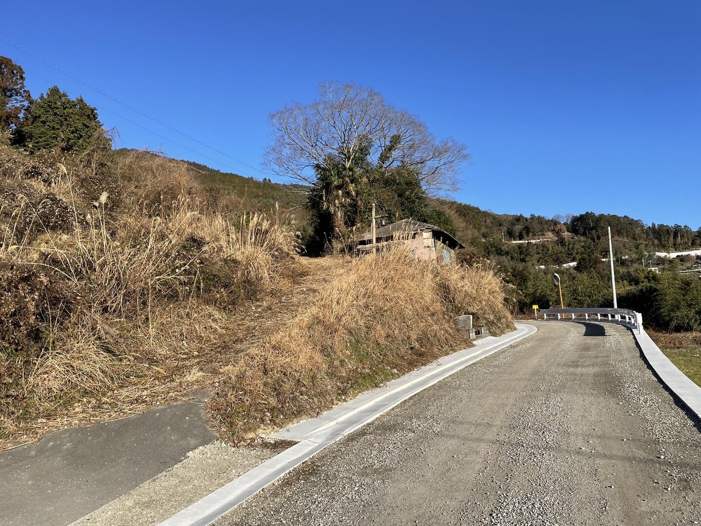 三頭山・妙体山 / 阿波市の写真1枚目 / これ以上先に行くと不安だったので、左に見 YAMAP / ヤマップ