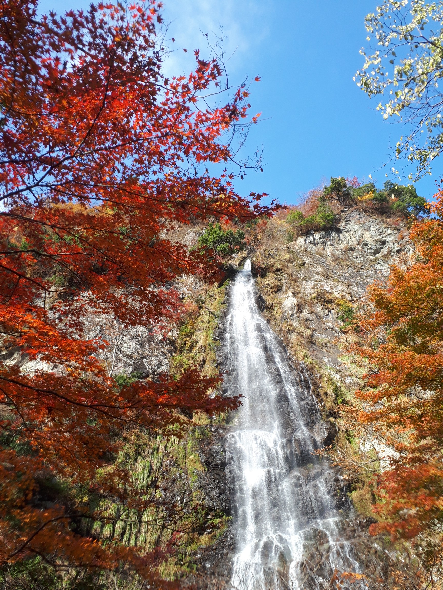 天滝 紅葉ハイク 氷ノ山大幹線林道探索 かめきちさんの氷ノ山 須賀ノ山 鉢伏山 瀞川山の活動日記 Yamap ヤマップ