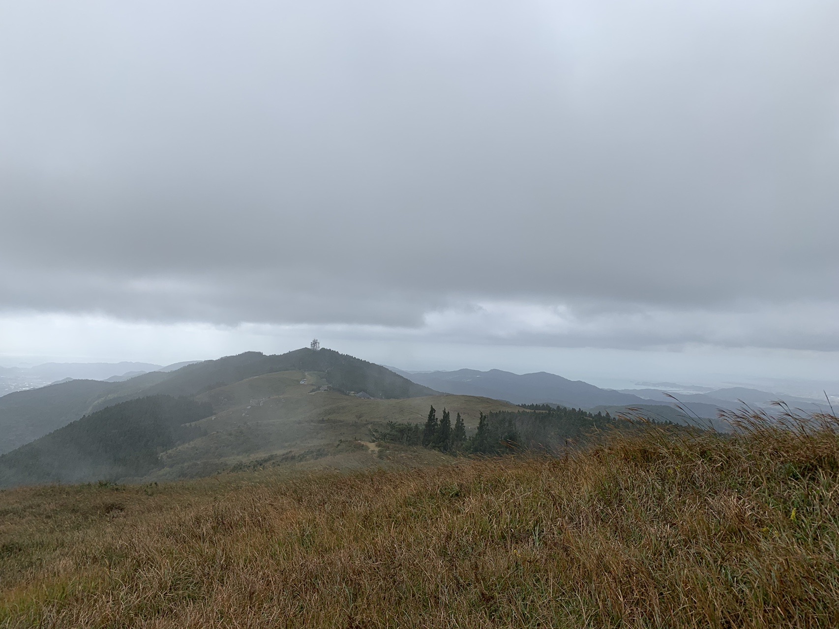 関西百名山 ススキの生石高原 Rikoさんの生石ヶ峰 生石高原の活動データ Yamap ヤマップ