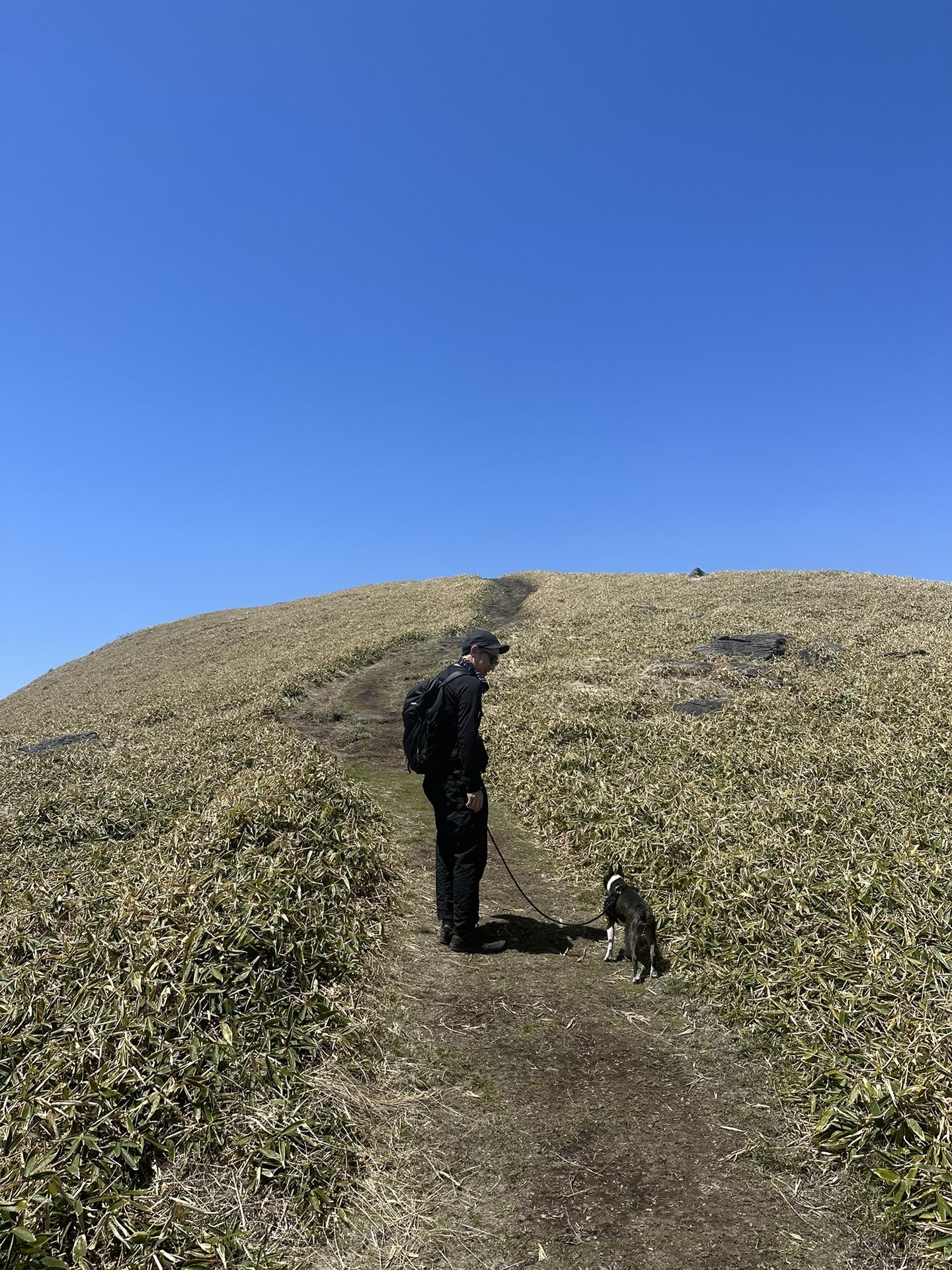 犬山焼 盃 箱付き R37-3