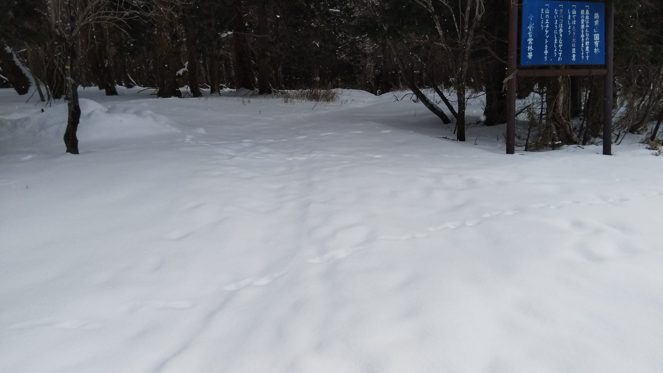 こちらが弁天沼から鶏頂山へのルート