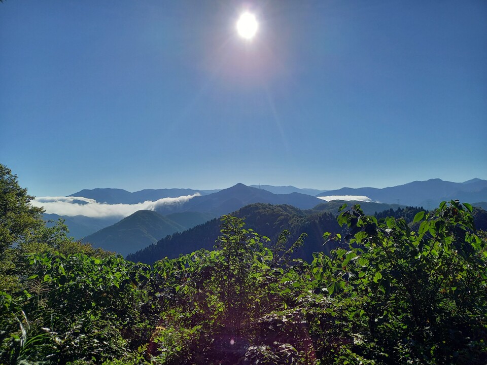 かやの木山 周回コースの地図・登山ルート・登山口情報 | YAMAP / ヤマップ