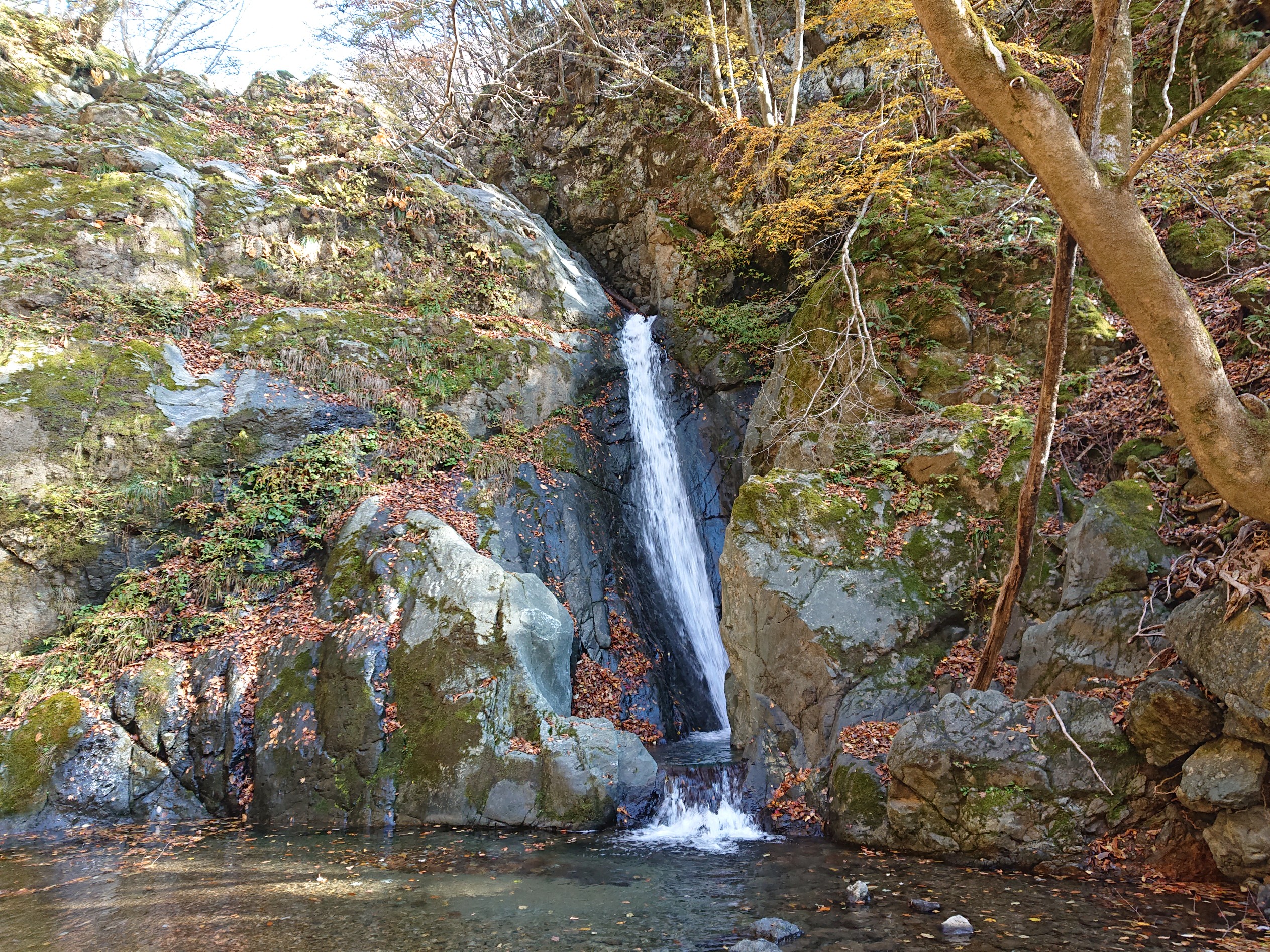 三筋の滝を目指してリベンジ編 プラスさんの藤原岳 御池岳の活動データ Yamap ヤマップ